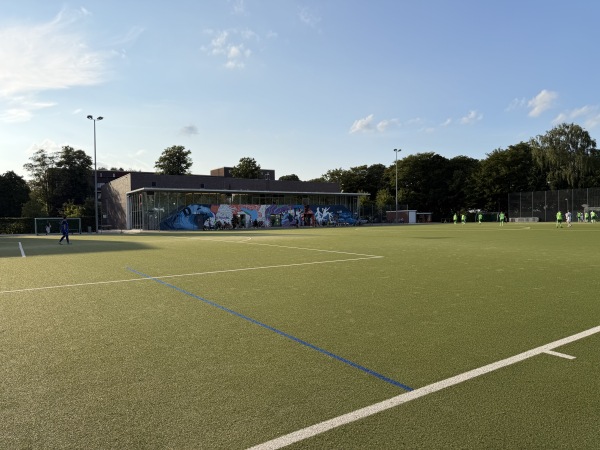 Sportplatz Meerweinstraße - Hamburg-Barmbek