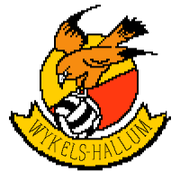 Wappen SV Wykels Hallum diverse