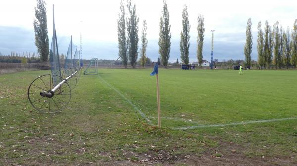 Sportanlage an der Baumschule Platz 2 - Guben-Groß Breesen