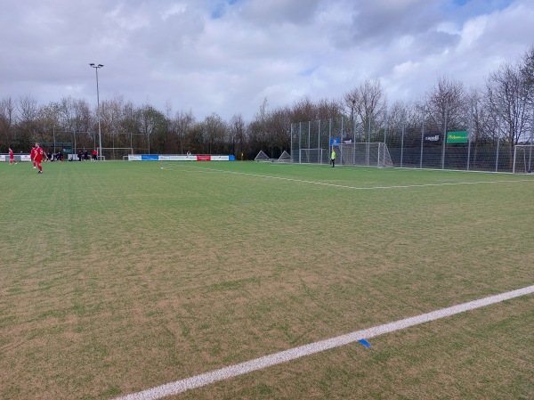 Vennestadion Nebenplatz 1 - Borken/Westfalen-Burlo