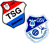 Wappen SG Steinheim/Erdmannhausen (Ground D)  105611