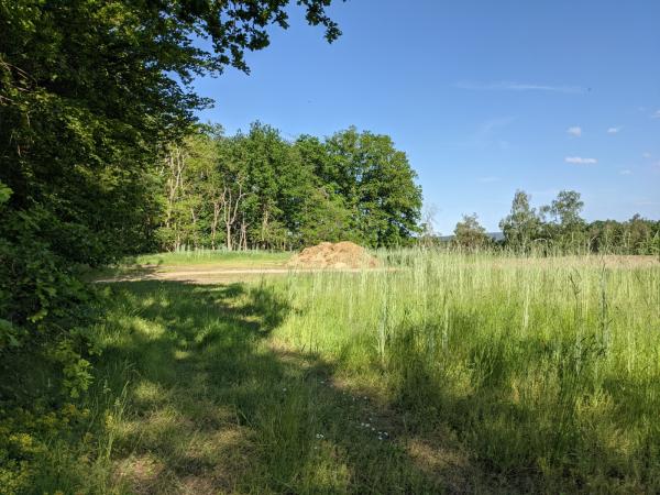 Sportplatz am Eisenberger Wald - Wattenheim/Pfalz