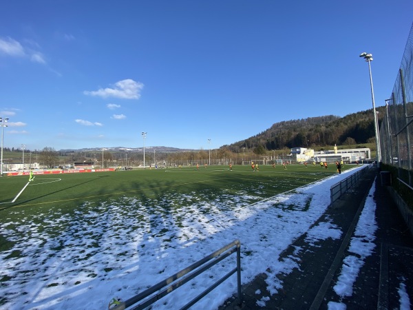 Sportplatz Lättich Platz 3 - Baar