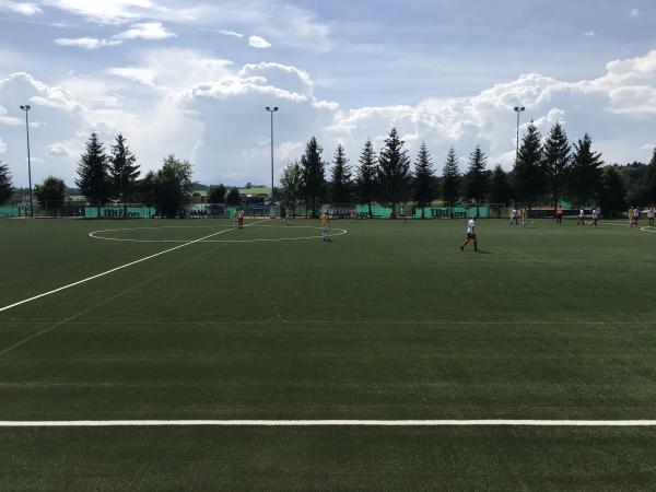 Sportzentrum Aug Nebenplatz - Seekirchen am Wallersee