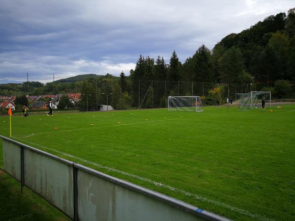 Sportanlage Wildunger Straße - Brehme