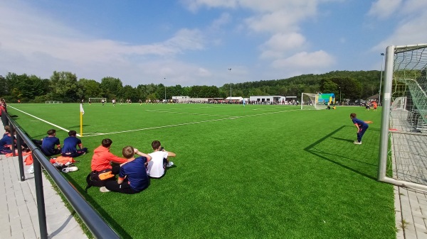 Babor Arena - Inden