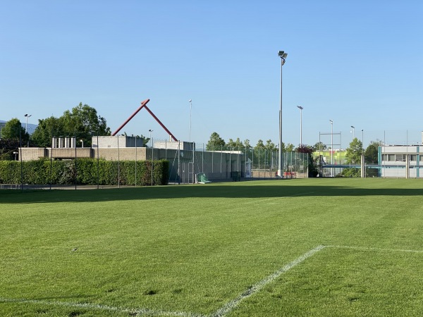 Centre Sportif des Libellules terrain B - Châtelaine