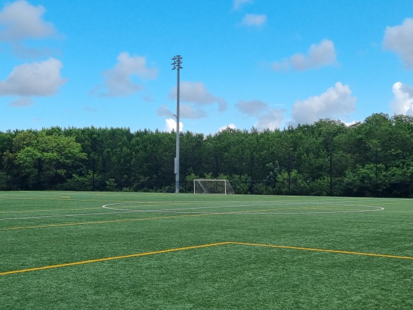 Mills Pond Park Soccer Field 1 - Fort Lauderdale, FL