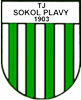 Wappen TJ Sokol Plavy B