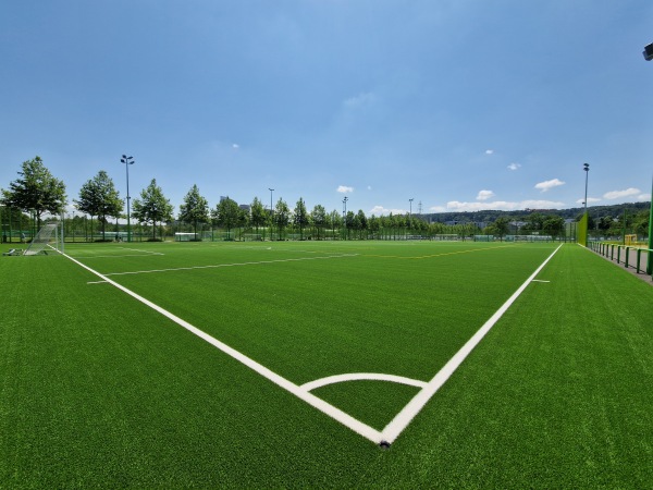 Sportanlage Heerenschürli Platz 15 - Zürich