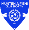 Wappen CSM Fieni