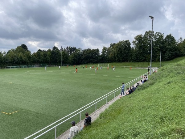Sportgelände Wannestraße Platz 2 - Reichartshausen