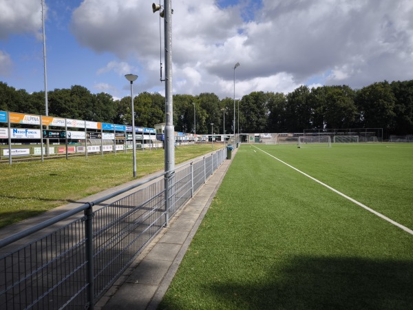 Sportpark De Wijchert veld 2 - Wijchen