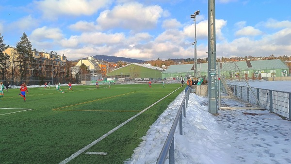 Allianz Stadion Trainingsplatz West 2 - Wien