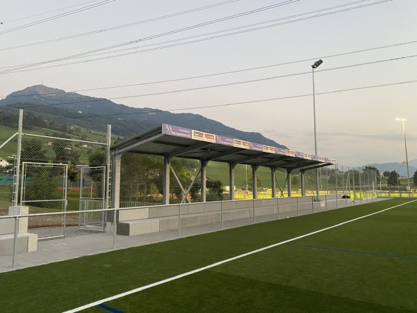 Sportplatz Luterbach Platz 2 - Küssnacht am Rigi