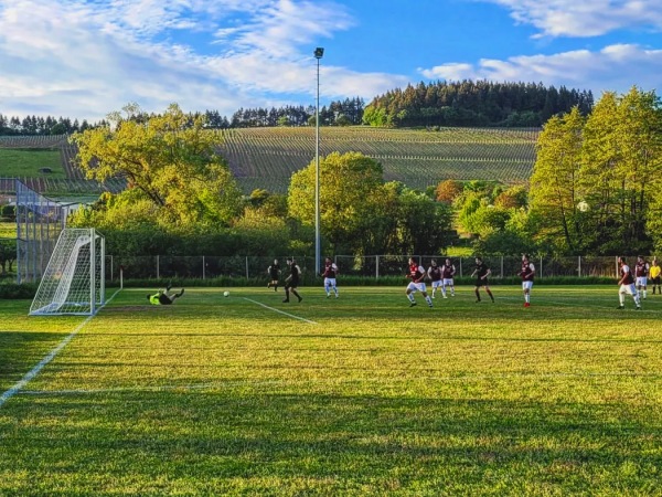 Sportanlage Sonnenschein Platz 2 - Konz-Niedermennig