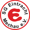 Wappen SG Eintracht Mechau 1990 diverse  50518