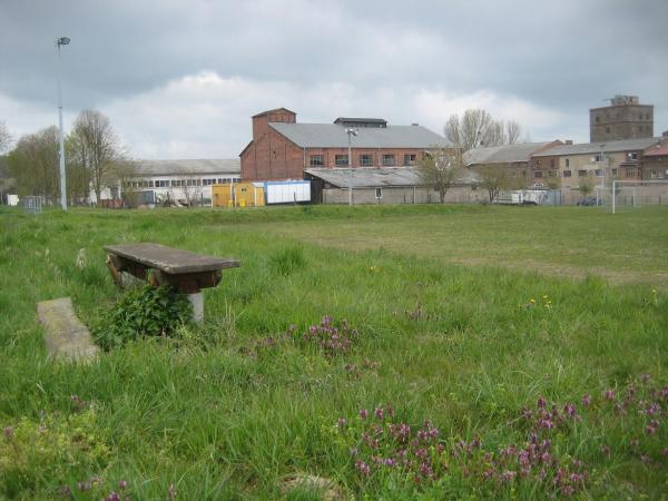 Sportplatz Ackendorf - Hohe Börde-Ackendorf