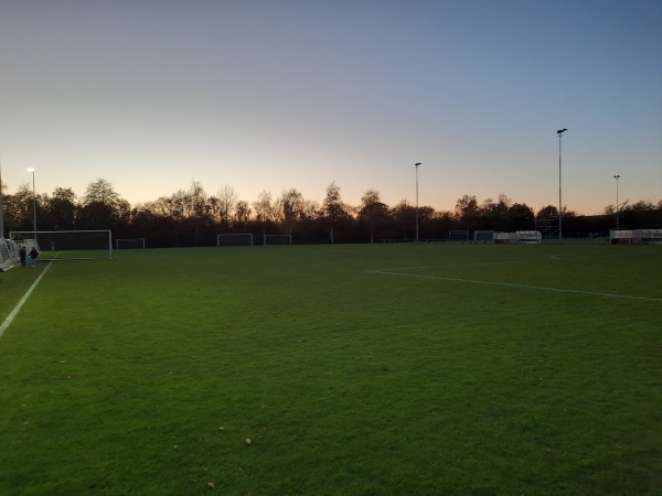 Sportpark Skoatterwâld veld 3 - Heerenveen