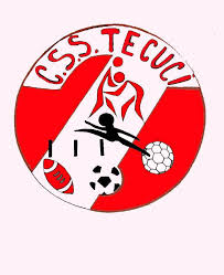 Wappen CSȘ Tecuci  50173