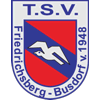 Wappen TSV Friedrichsberg-Busdorf 1948 diverse  105937