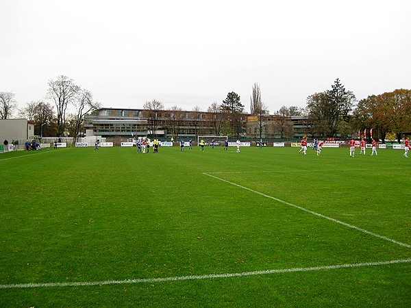 Stadion Pod Vinicí - Pardubice