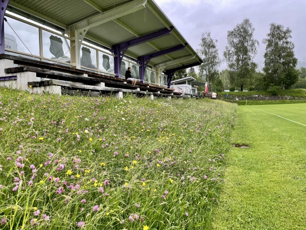 Sportplatz Piesendorf - Piesendorf