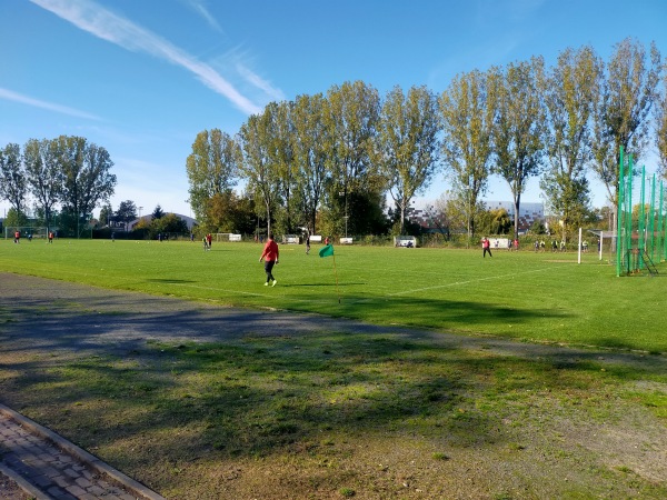 Stadion Górniczy przy ZSZiO w Lubinie - Lubin