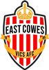 Wappen East Cowes Vics AFC