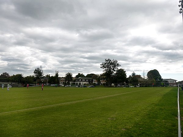 Murdoch Park  - Papatoetoe, Auckland