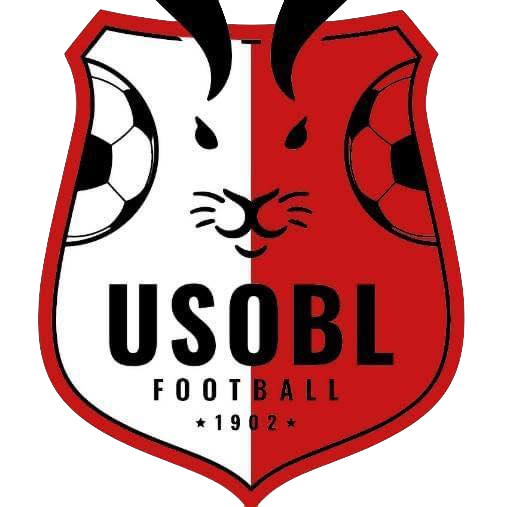 Wappen USO Bruay-la-Buissière diverse