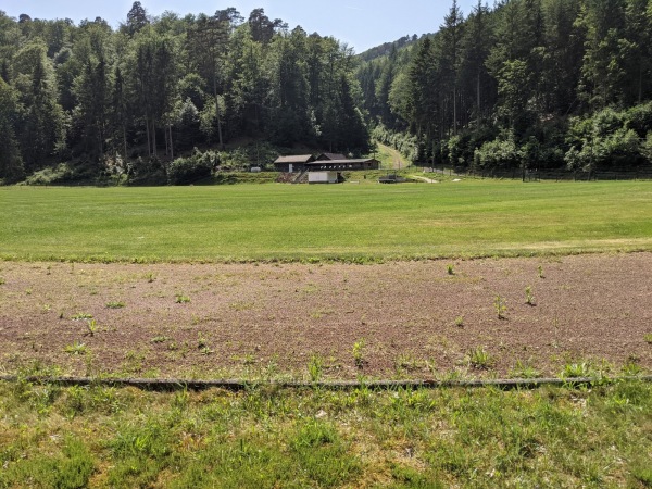 Sportplatz Erdbeertal - Weidenthal