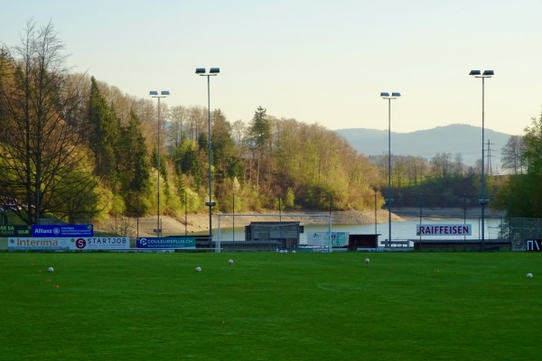 Terrain de la Fin de Dessous - La Roche FR