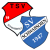 Wappen SpVgg. Schwabbruck/Schwabsoien II (Ground B)