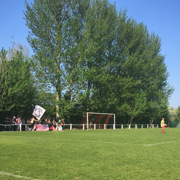 The Stray Dog - London-Higham Hill, Greater London