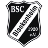 Wappen ehemals BSC Blankenheim 1920  77269