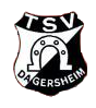 Wappen TSV Dagersheim 1906 III