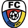 Wappen FC Grimma 1919 Wappen FC Grimma 1919