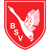 Wappen Barsbütteler SV 1948 diverse  10000