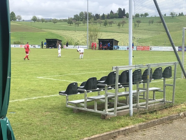 Hardstadion - Freiamt/Schwarzwald-Ottoschwanden