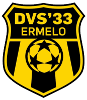 Wappen DVS '33 Ermelo diverse  84271
