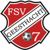 Wappen FSV Geesthacht 2007 IV