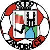 Wappen Zamora CF diverse