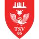 Wappen TSV 05 Neumünster diverse