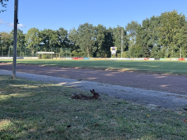 Sportanlage Schulstraße - Niederlangen