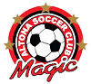 Wappen Altona Magic SC diverse
