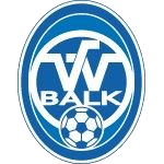 Wappen VV Balk diverse  81381