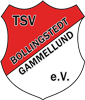 Wappen TSV Bollingstedt-Gammelund 1959 diverse