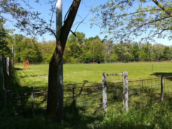 Sportanlage In den Pfalzwiesen - Birkenheide