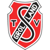 Wappen TSV Grolland 1950 diverse  107920